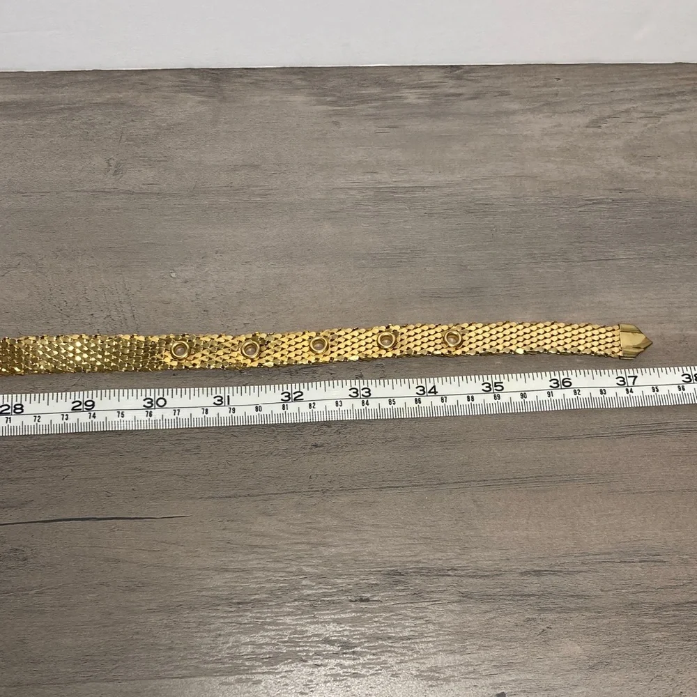 Vintage Retro Glam Serpent Scale Gold Mesh Belt